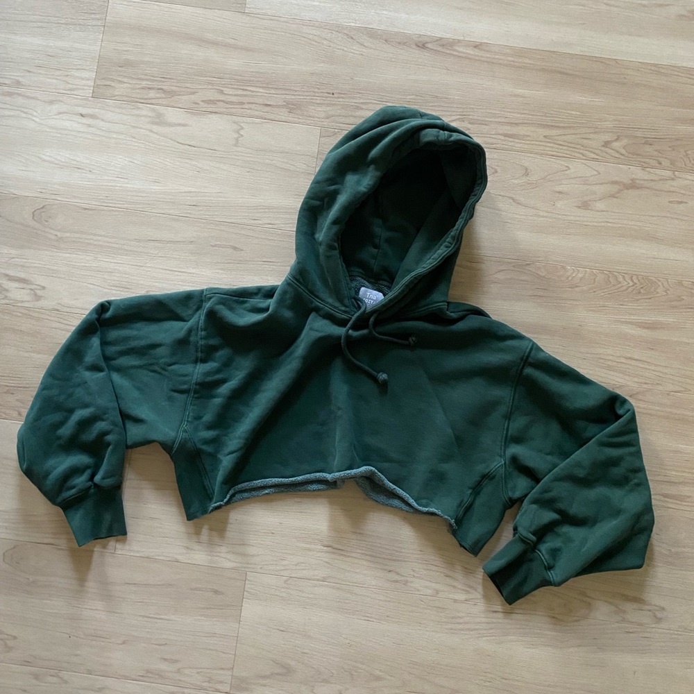Aritzia Boyfriend Cropped Hoodie